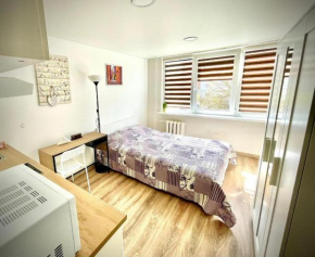 Taikos Studio